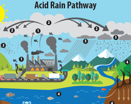 Acid Rain Pathway 2 2 2 SO, 50 NO الا 3 NO, 3 3 No O NO. 4 NO 20 o CON 