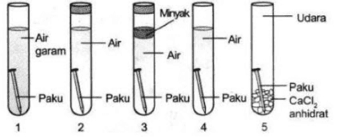 Minyak Udara -Air garam -Air -Air Air Paku Paku Paku Paku Paku CacІ, anhidrat 2 الا 4 5 
